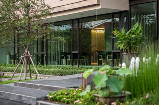 Hyde Park Chiangmai fotoÄŸrafÄ±