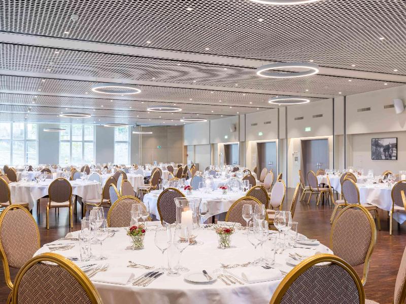 Mercure Lenzburg Krone - Toplantı