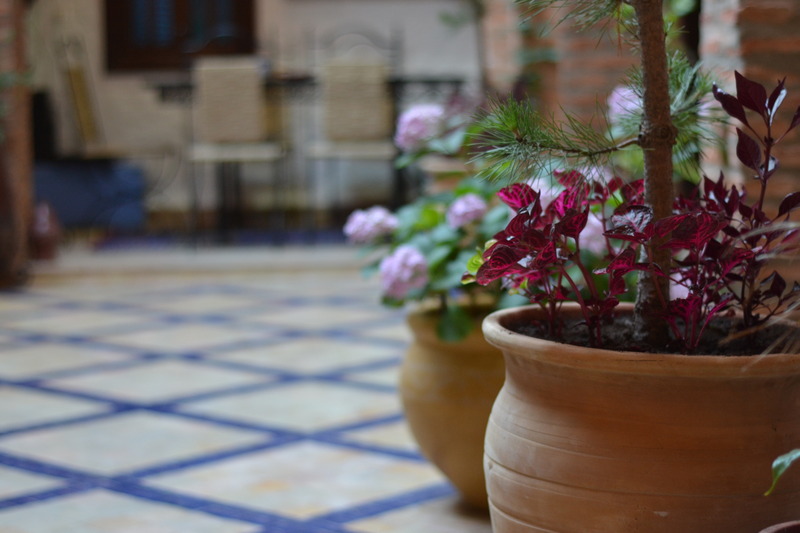 Riad Gharnata - Genel