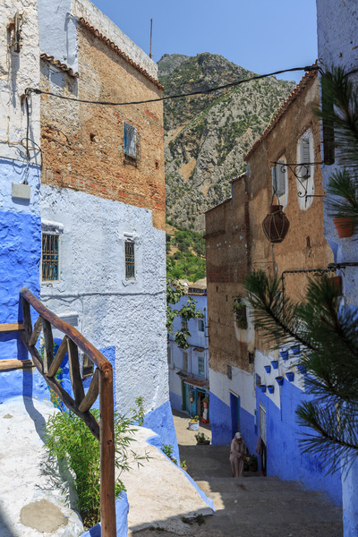 Riad Gharnata - Genel