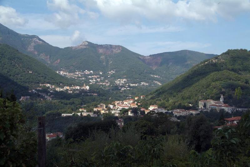 Tramonti Green - Genel