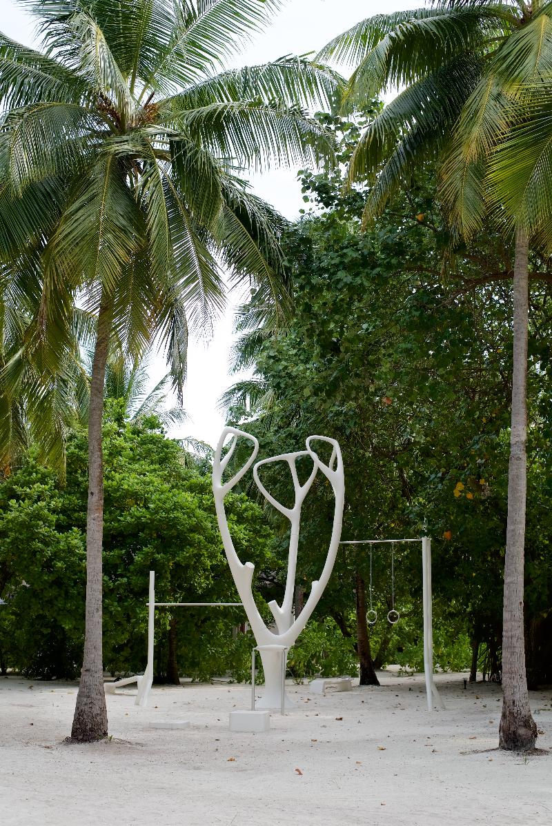Cocoon Maldives - Aktivite