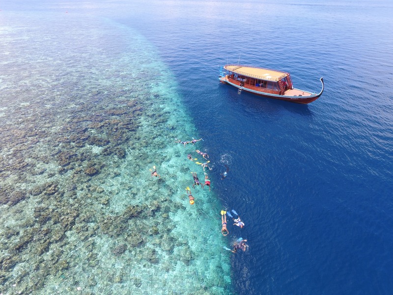 Cocoon Maldives - Aktivite
