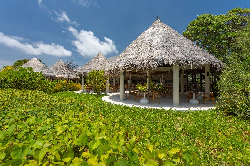 Cocoon Maldives - Genel