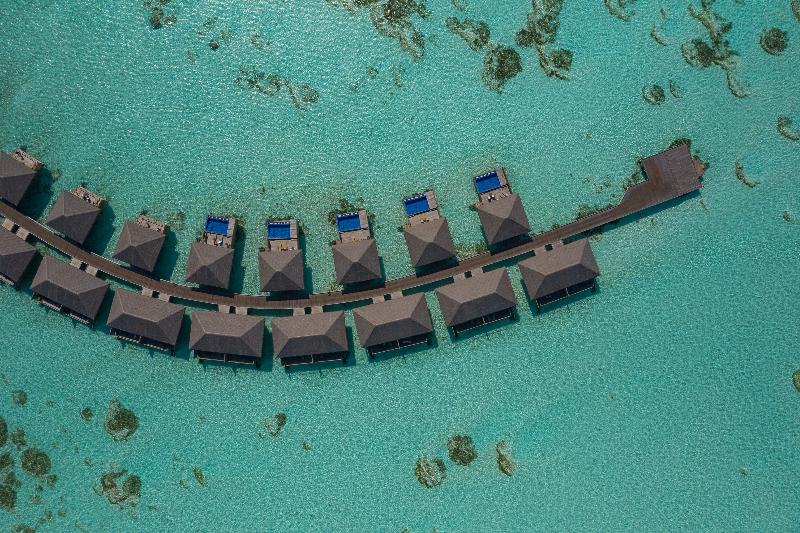 Cocoon Maldives - Genel
