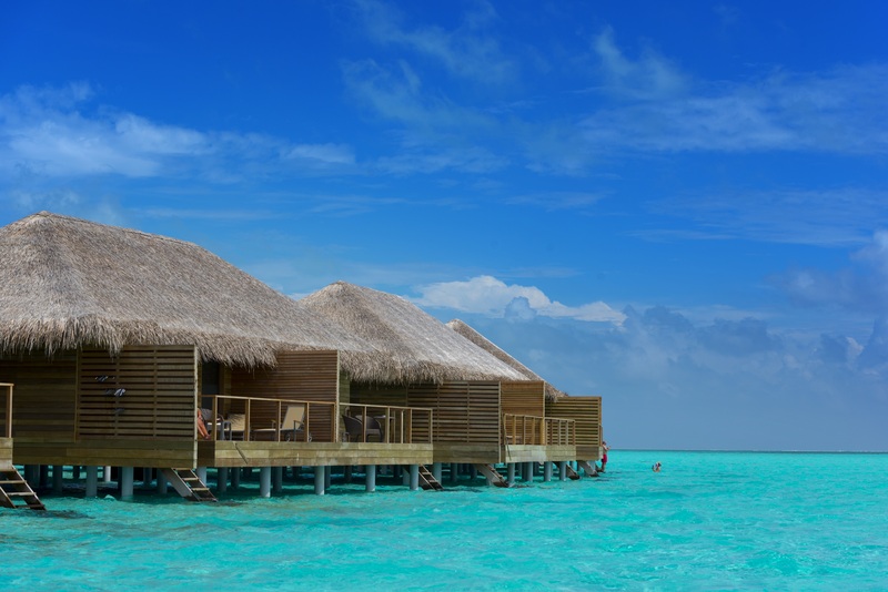 Cocoon Maldives - Oda