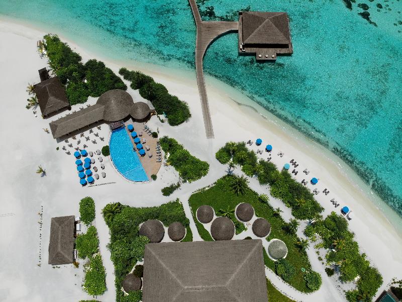 Cocoon Maldives - Havuz