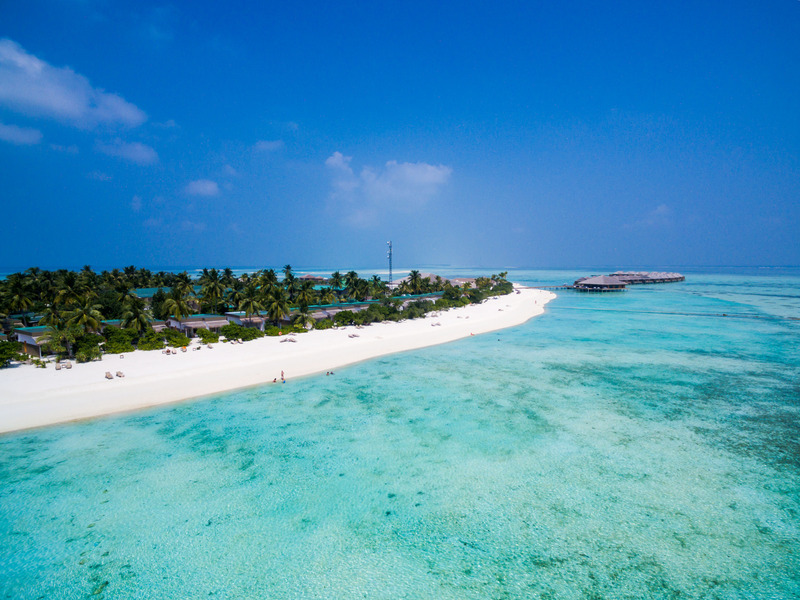 Cocoon Maldives - Plaj