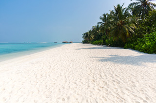 Cocoon Maldives fotoÄŸrafÄ±