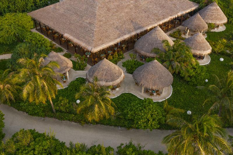 Cocoon Maldives - Restoran