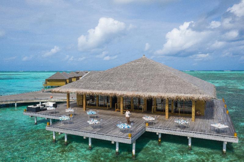 Cocoon Maldives - Restoran