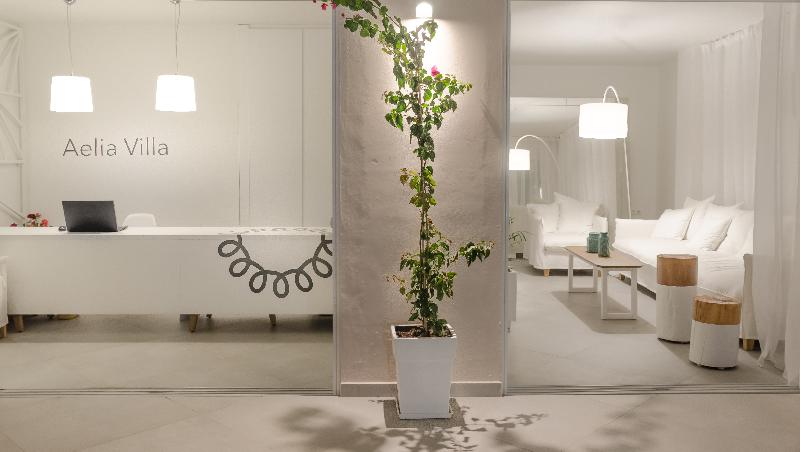 Aelia Villas - Lobi