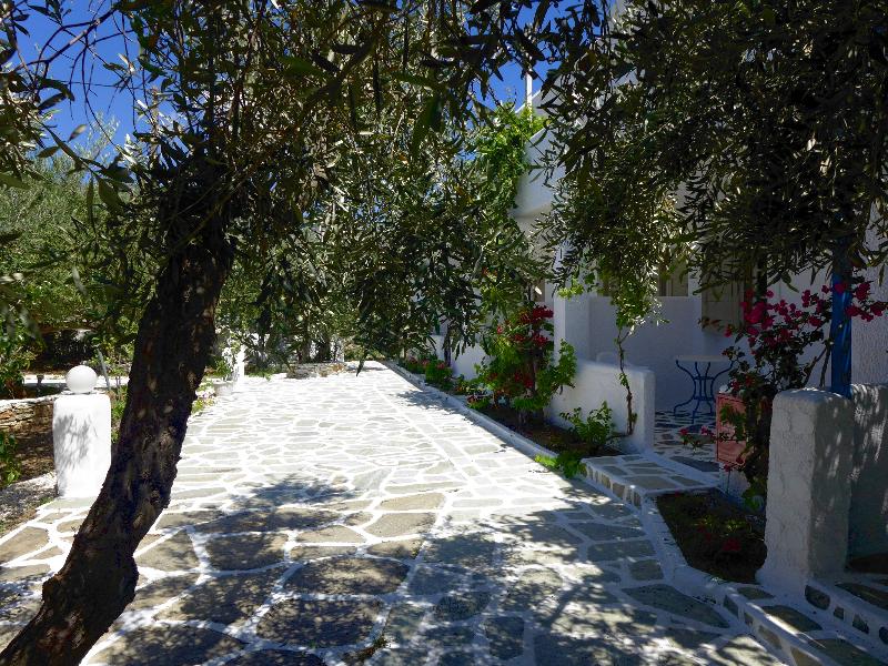Amaryllis Beach Hotel - Oda