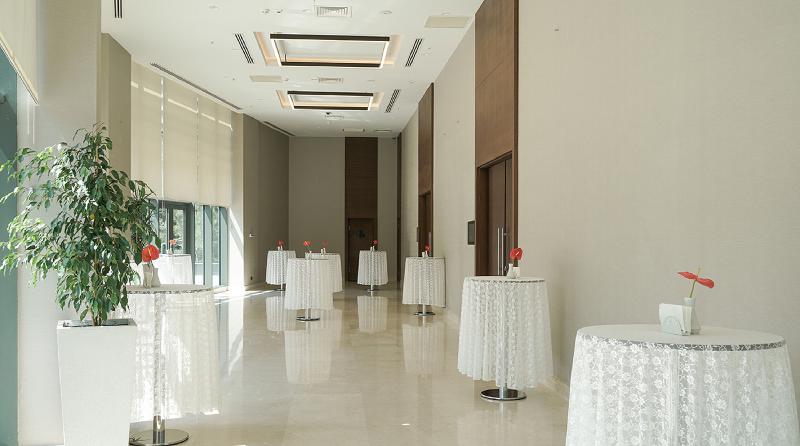 Radisson Blu Hotel Ankara Cankaya - Toplantı