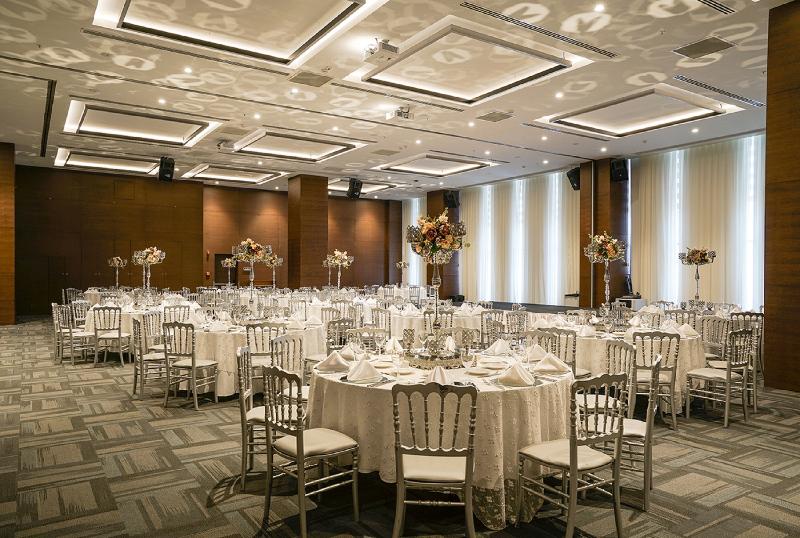 Radisson Blu Hotel Ankara Cankaya - Toplantı