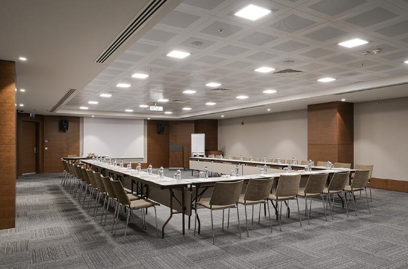 Radisson Blu Hotel Ankara Cankaya - Toplantı