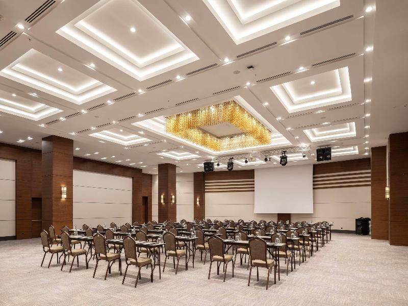 Radisson Blu Hotel Ankara Cankaya - Toplantı