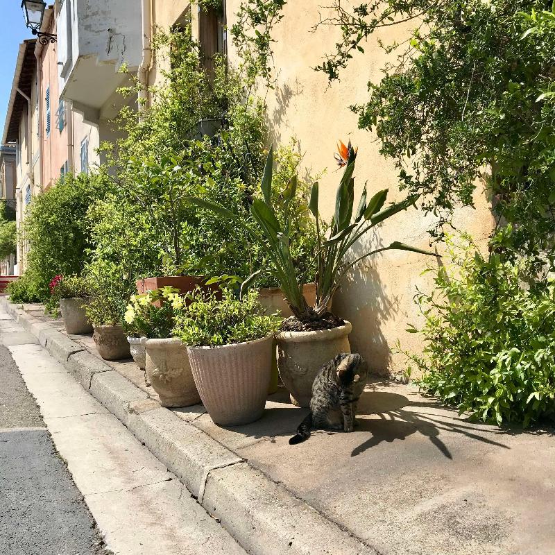 Kyriad Marseille Ouest Martigues - Genel