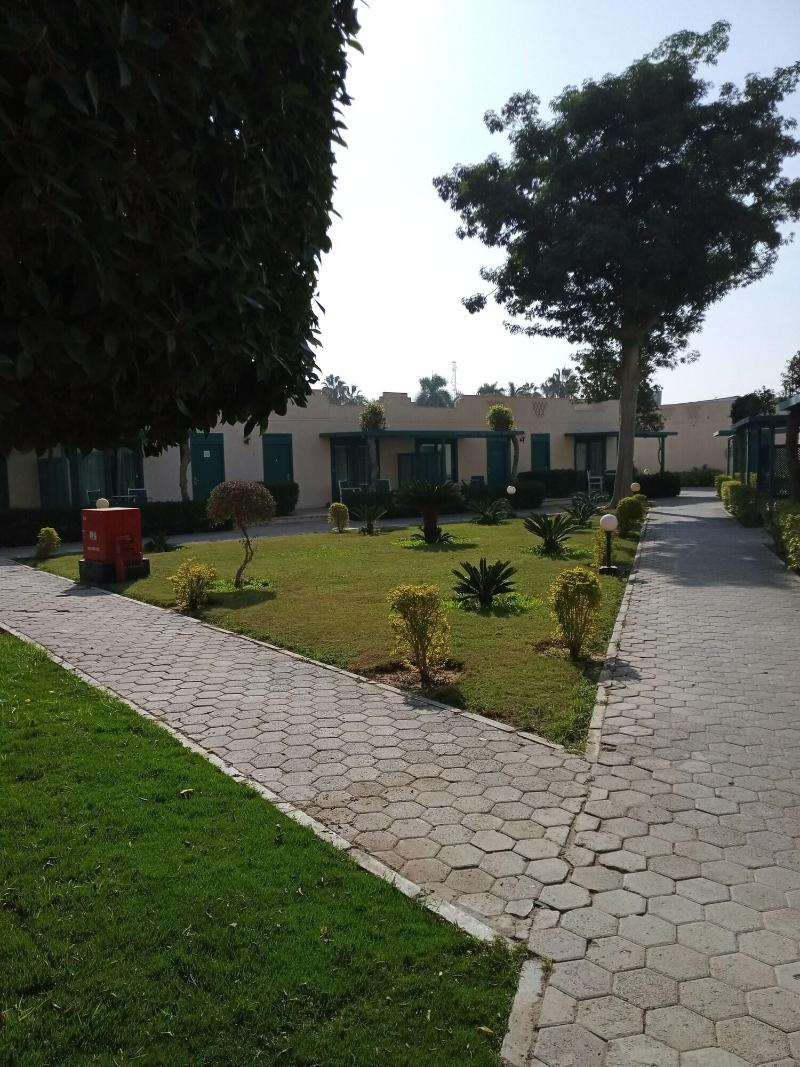 Cairo Pyramids Hotel - Oda