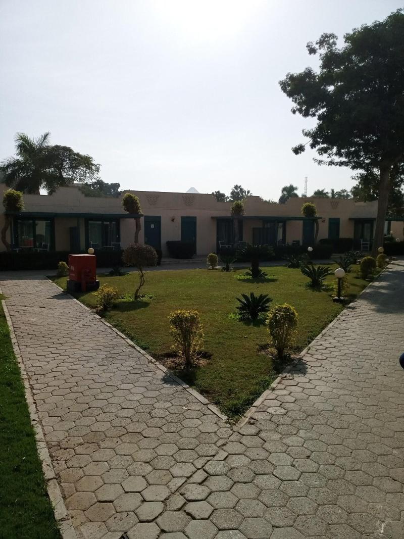 Cairo Pyramids Hotel - Teras