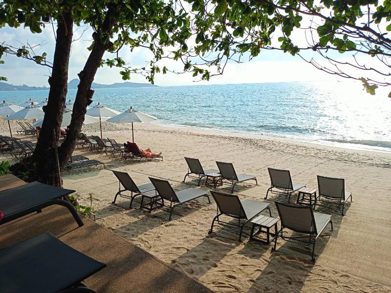 White Sand Samui Resort - Genel