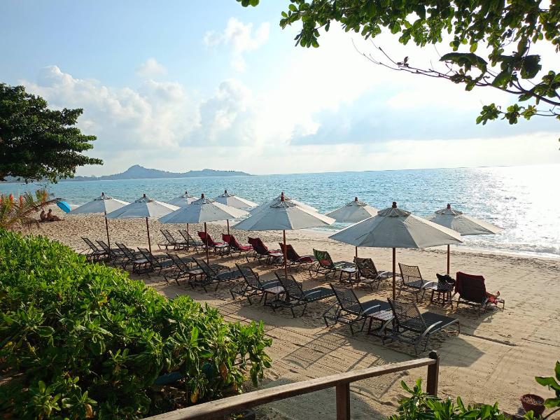 White Sand Samui Resort - Genel