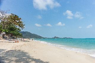 White Sand Samui Resort fotoÄŸrafÄ±