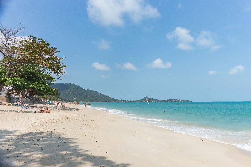 White Sand Samui Resort - Plaj