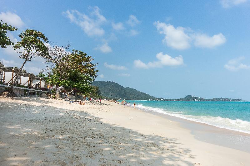White Sand Samui Resort - Plaj