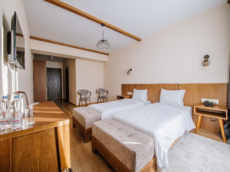 Gudauri Inn - Oda