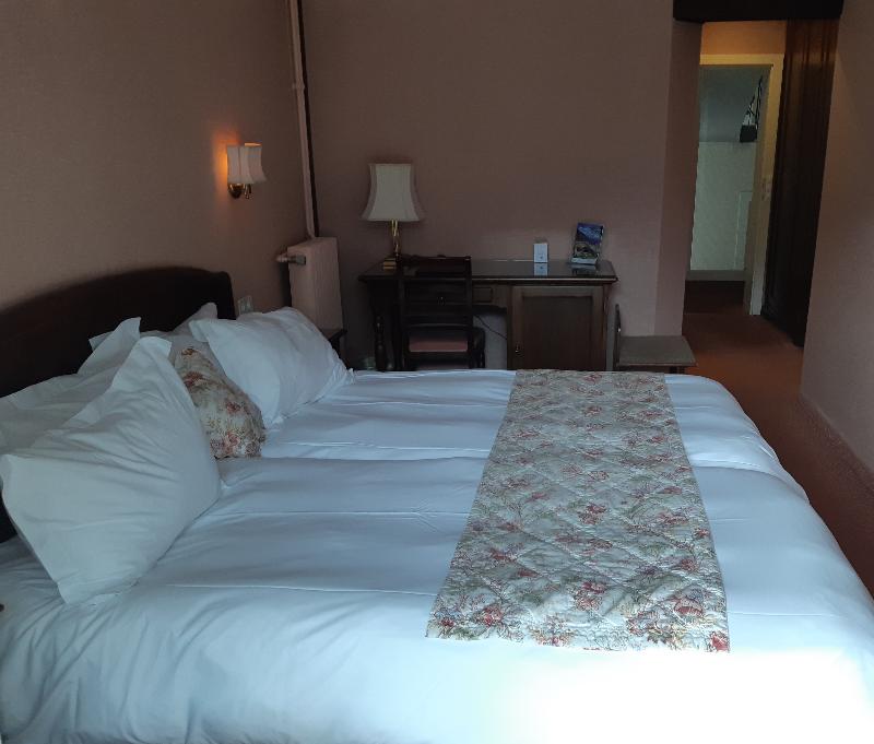 Hotel Regina - Oda