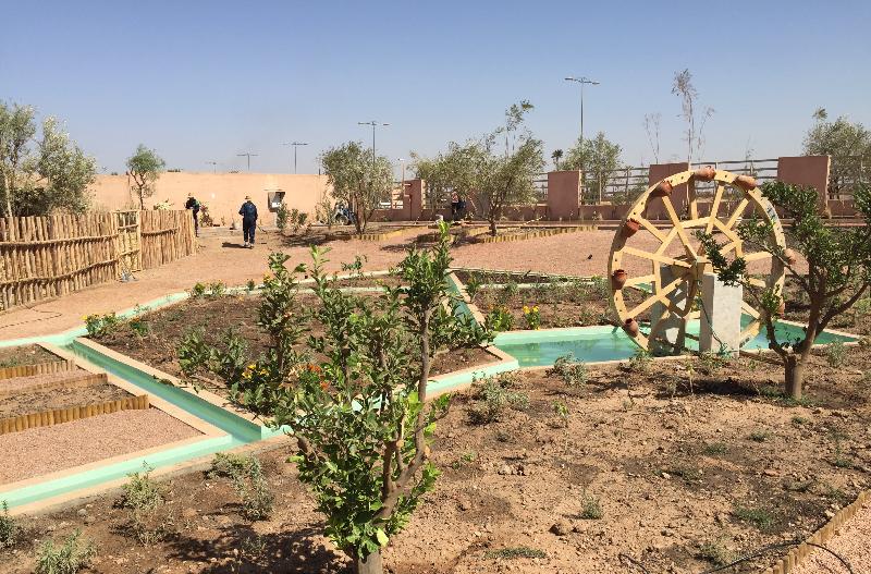 Be Live Experience Marrakech Palmeraie All Inc. - Teras