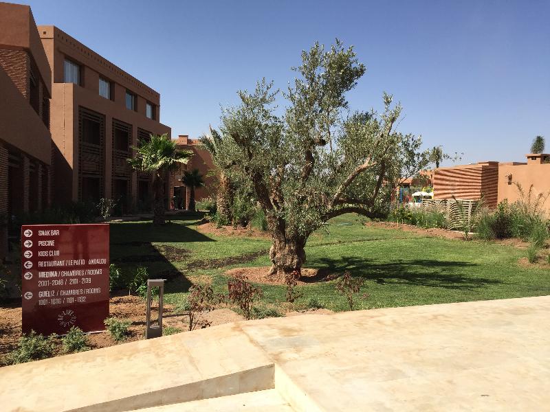 Be Live Experience Marrakech Palmeraie All Inc. - Teras
