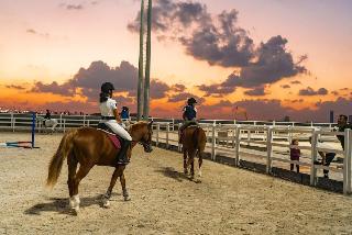 Al Habtoor Polo Resort fotoÄŸrafÄ±
