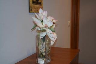 Apartamentos VIDA Versus fotoÄŸrafÄ±
