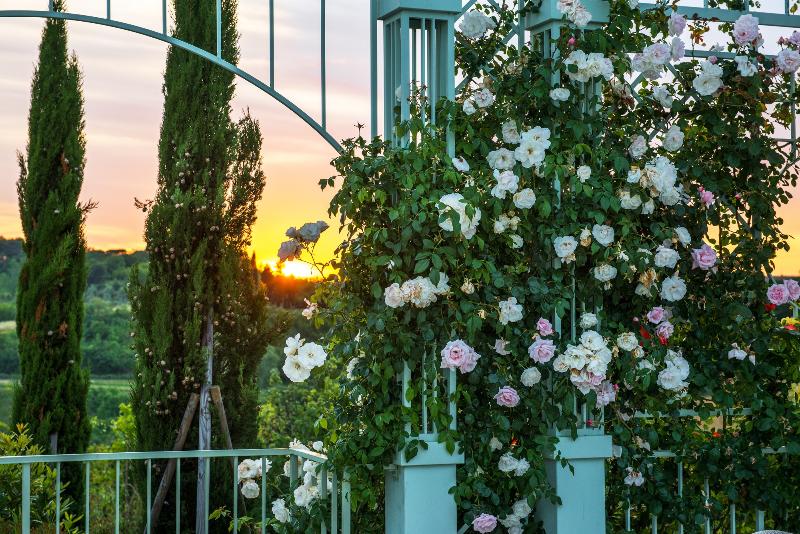 Relais Sassa Al Sole - Genel
