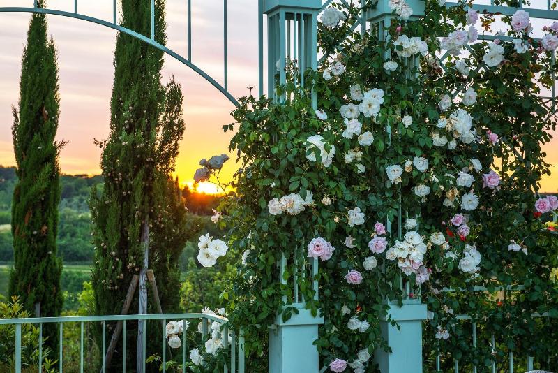 Relais Sassa Al Sole - Genel
