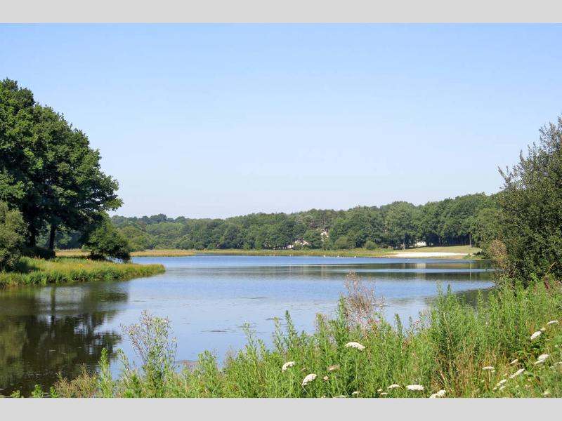Le Domaine du Moulin Neuf - Terres de France - Genel