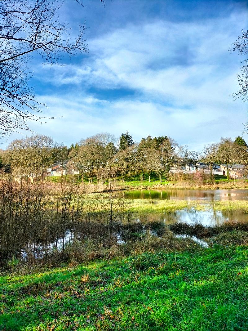 Le Domaine du Moulin Neuf - Terres de France - Genel