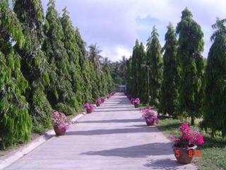Baan Saensook Villas fotoÄŸrafÄ±