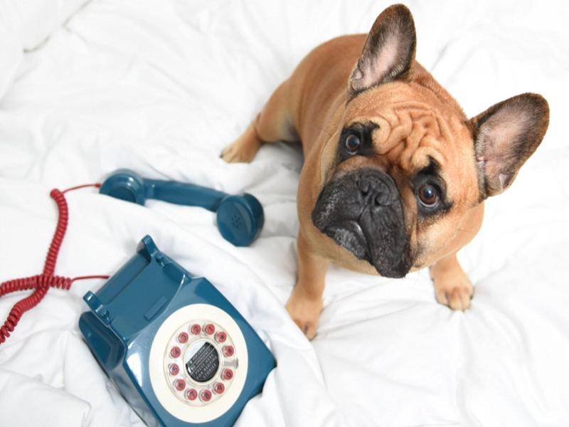 MOXY NYC Times Square - Oda
