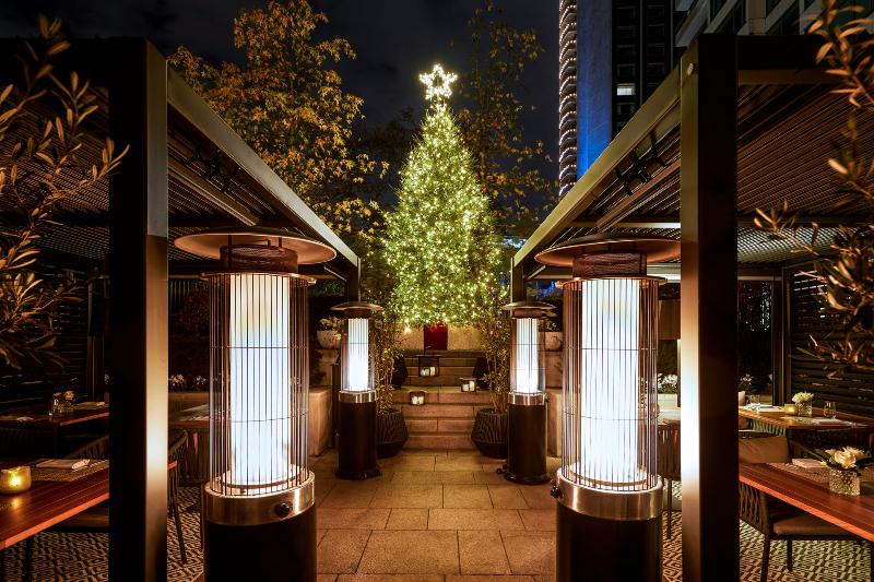 Four Seasons Hotel London at Park Lane - Teras