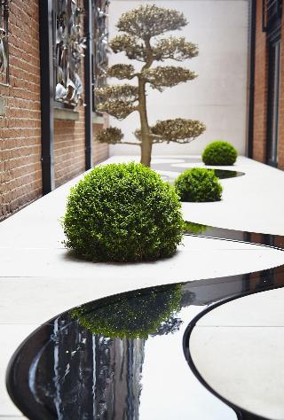 Connaught fotoÄŸrafÄ±