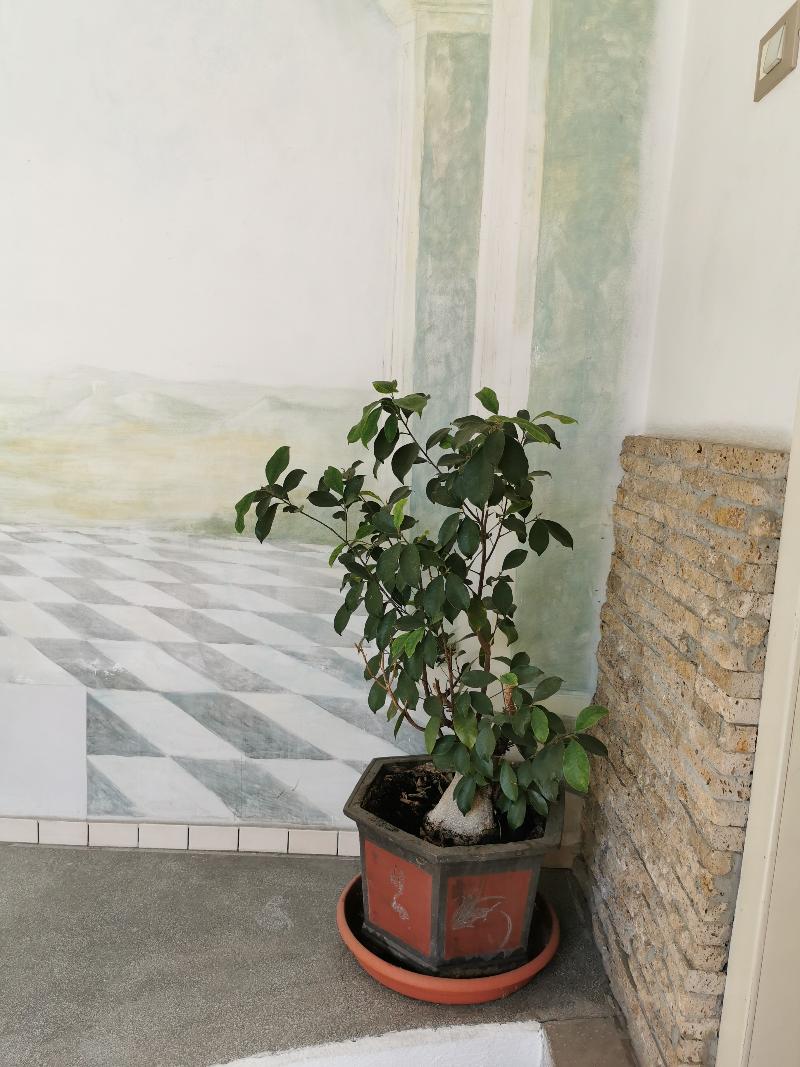 Prince Residence Apartments - Genel