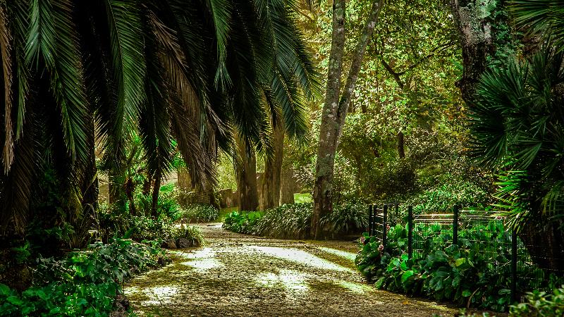 Sintra Marmoris Palace - Aktivite