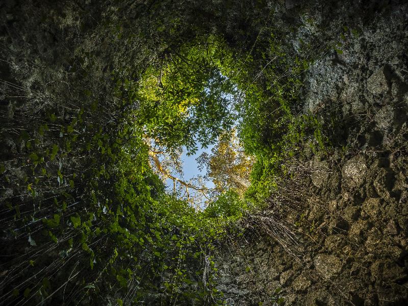Sintra Marmoris Palace - Aktivite
