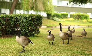 Holiday Inn Filton Bristol fotoÄŸrafÄ±