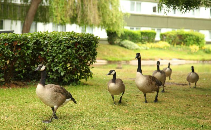 Holiday Inn Filton Bristol - Genel