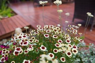 Kimera Hotel fotoÄŸrafÄ±