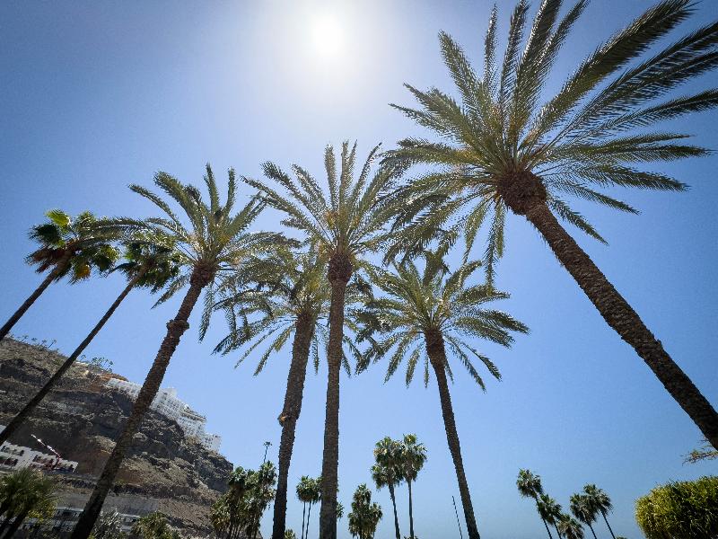 Holiday Club Playa Amadores - Plaj